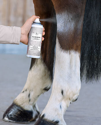 Ampio assortimento di prodotti per la cura del cavallo