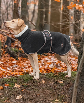 Articoli terapeutici per cani