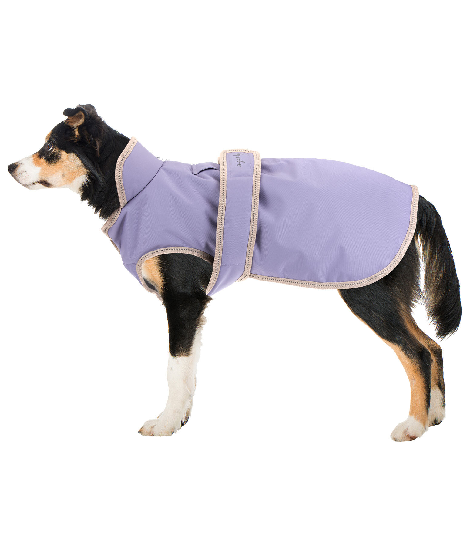 Cappotto invernale per cani con pile Eddie, 200 g