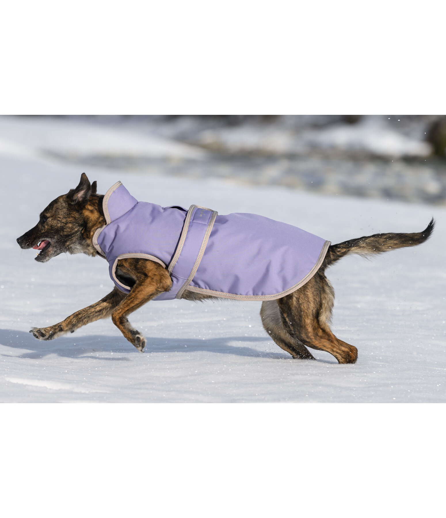 Cappotto invernale per cani con pile Eddie, 200 g