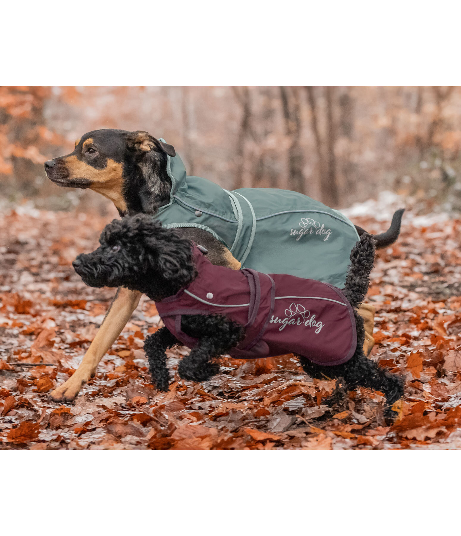 Cappotto per cani in nylon 2 in 1 Ally