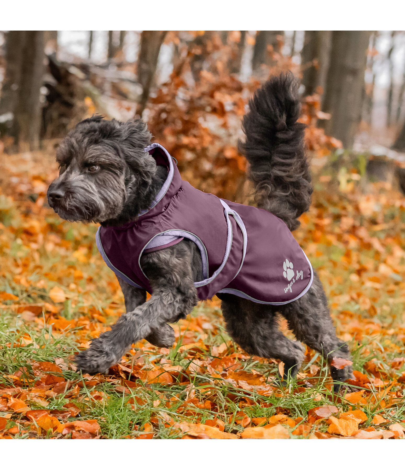 Impermeabile per cani con pile Eldoro II, 0 g