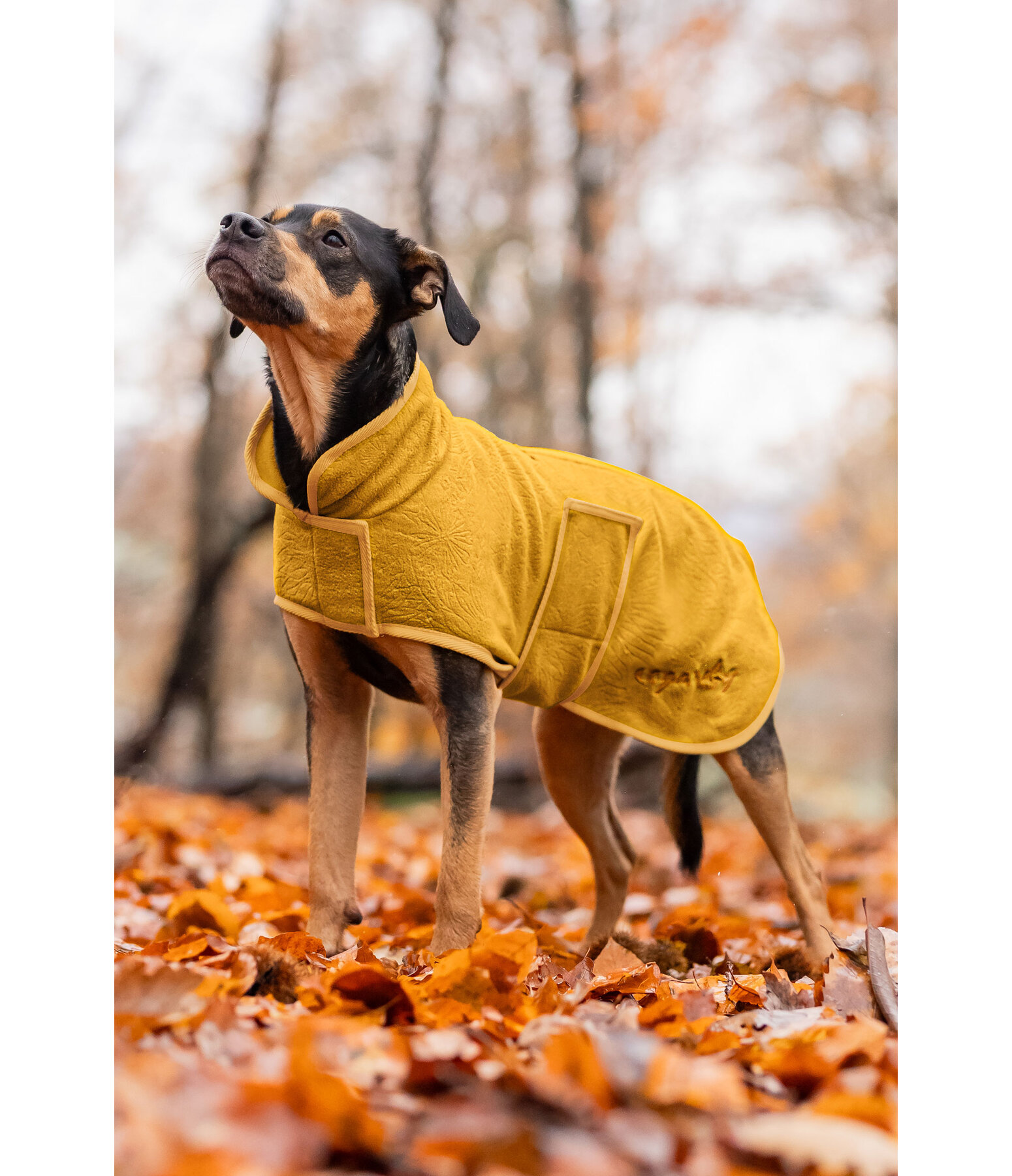 Cappotto in pile per cani Indian Summer