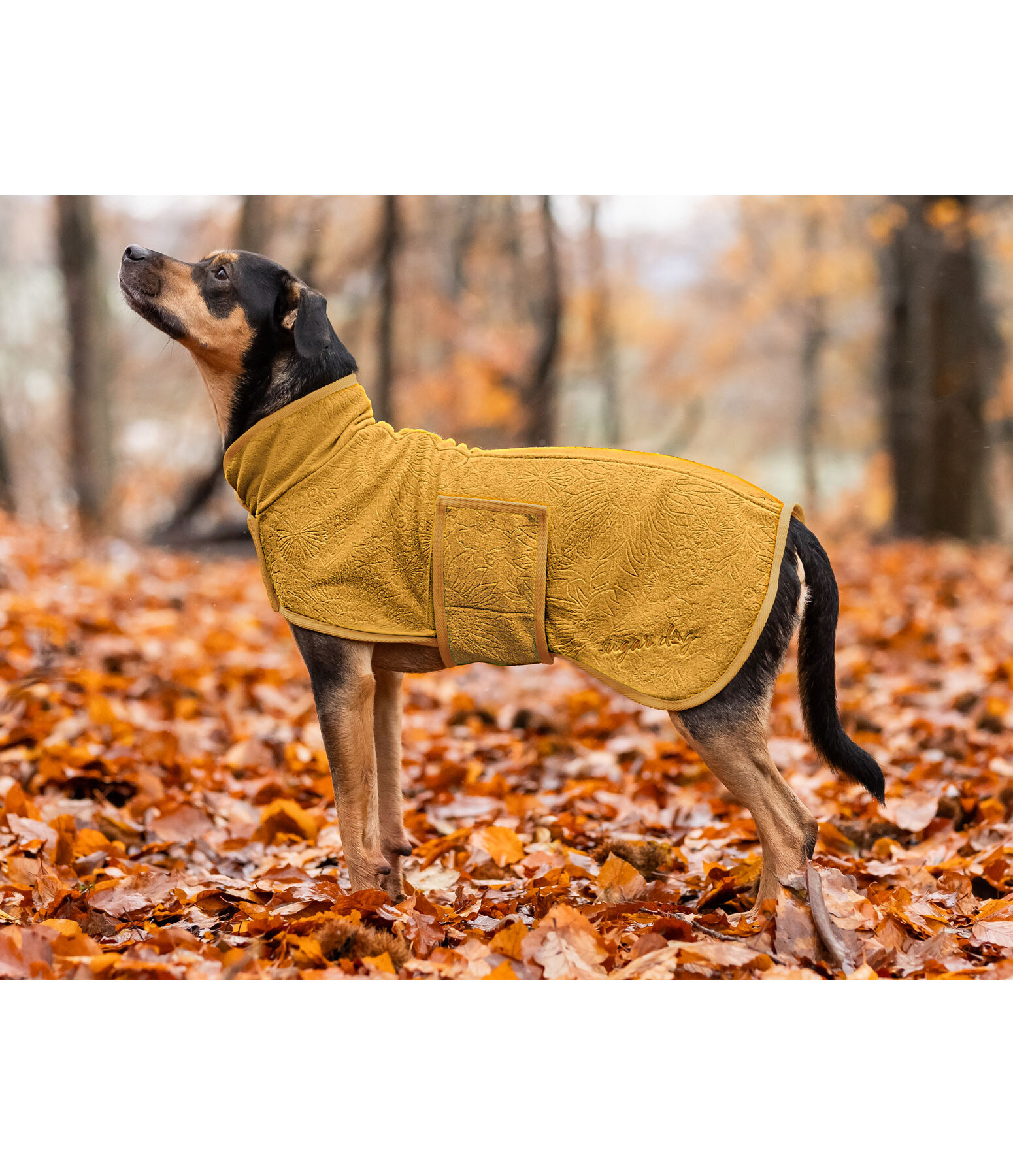 Cappotto in pile per cani Indian Summer