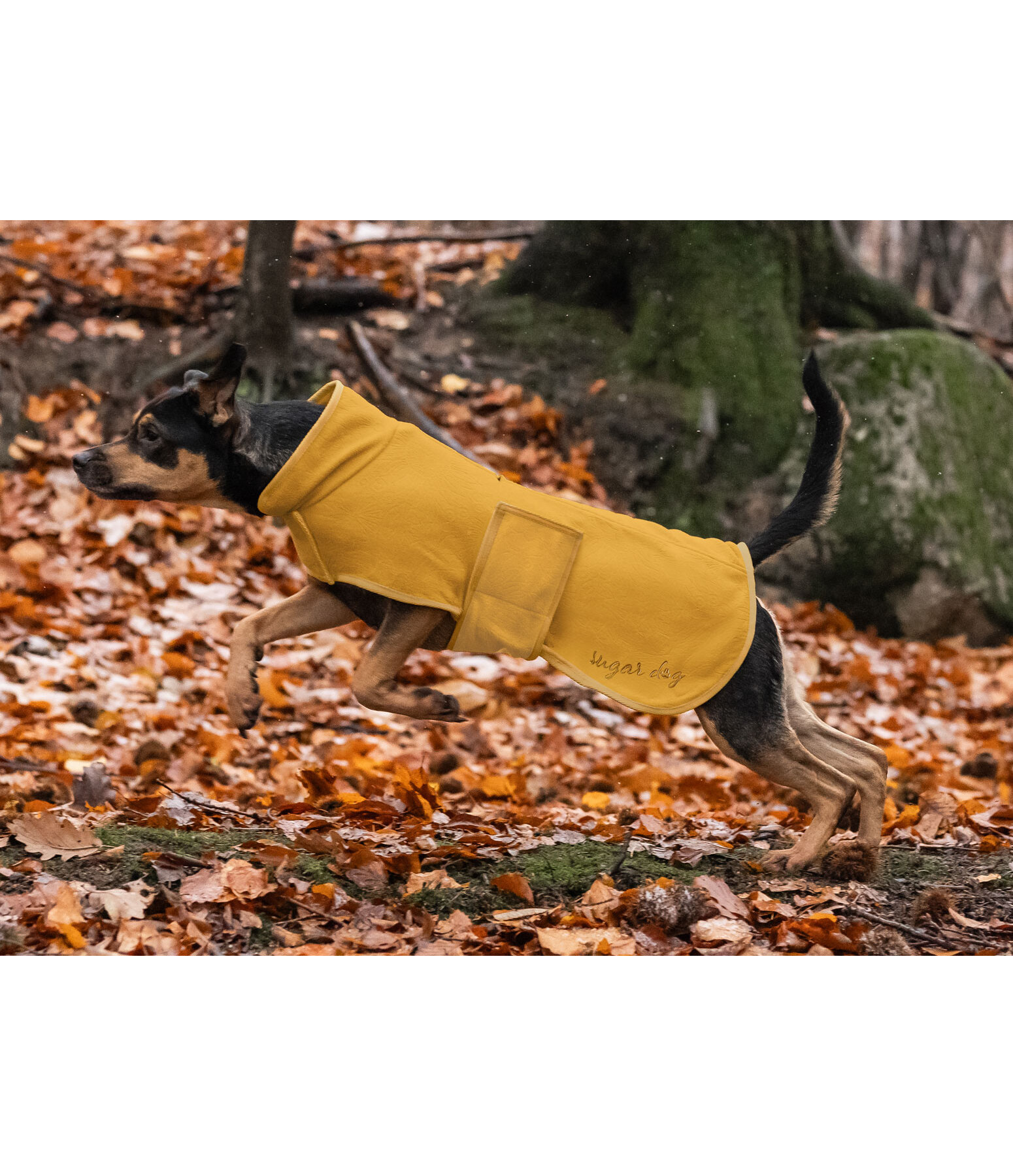 Cappotto in pile per cani Indian Summer