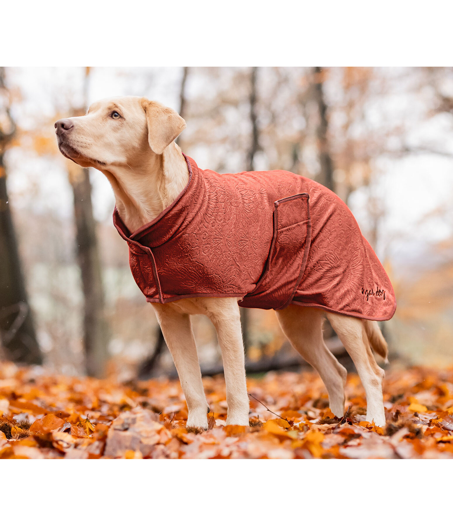 Cappotto in pile per cani Indian Summer