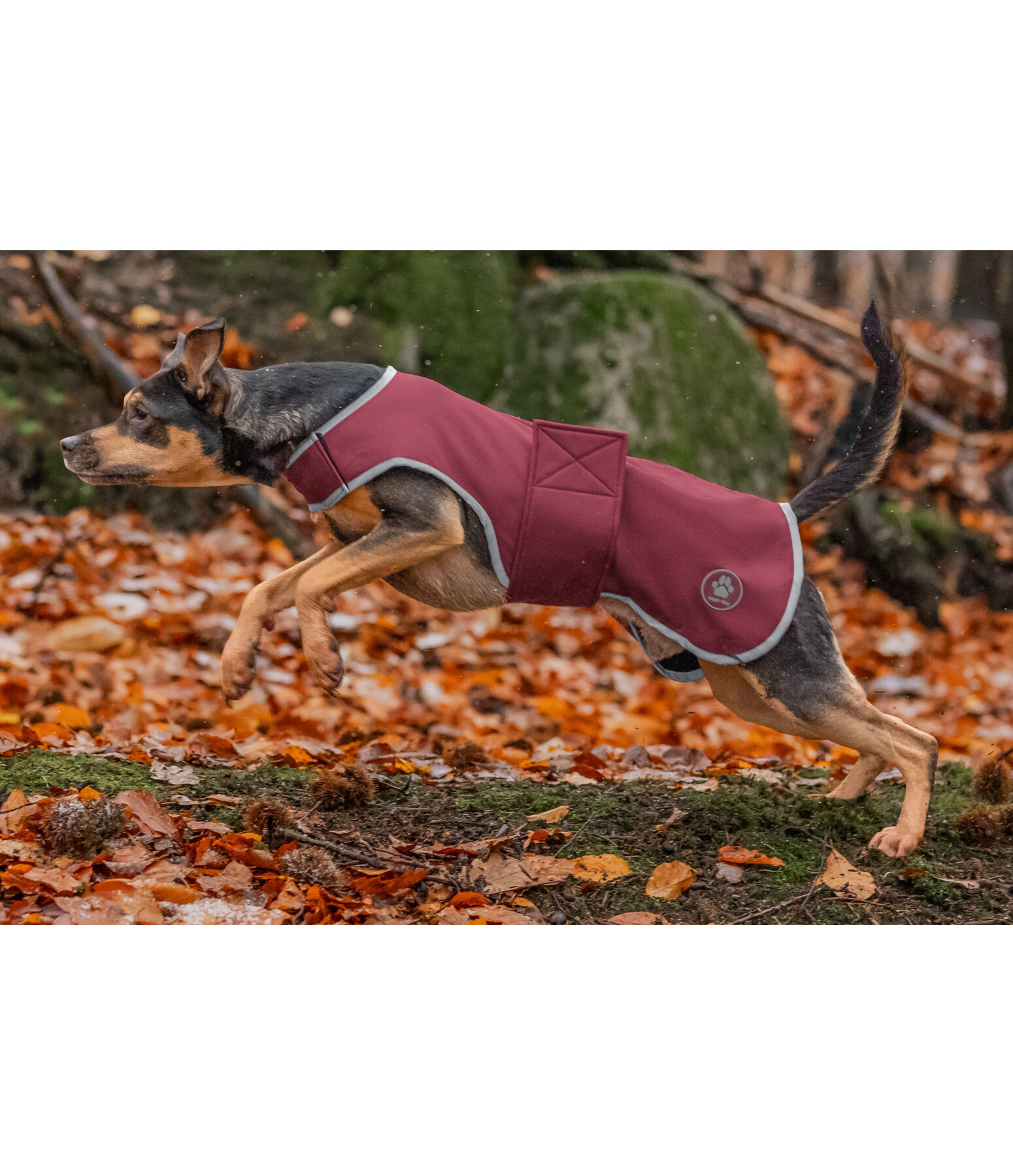 Softshell Walker per cani Athlete, 0 g