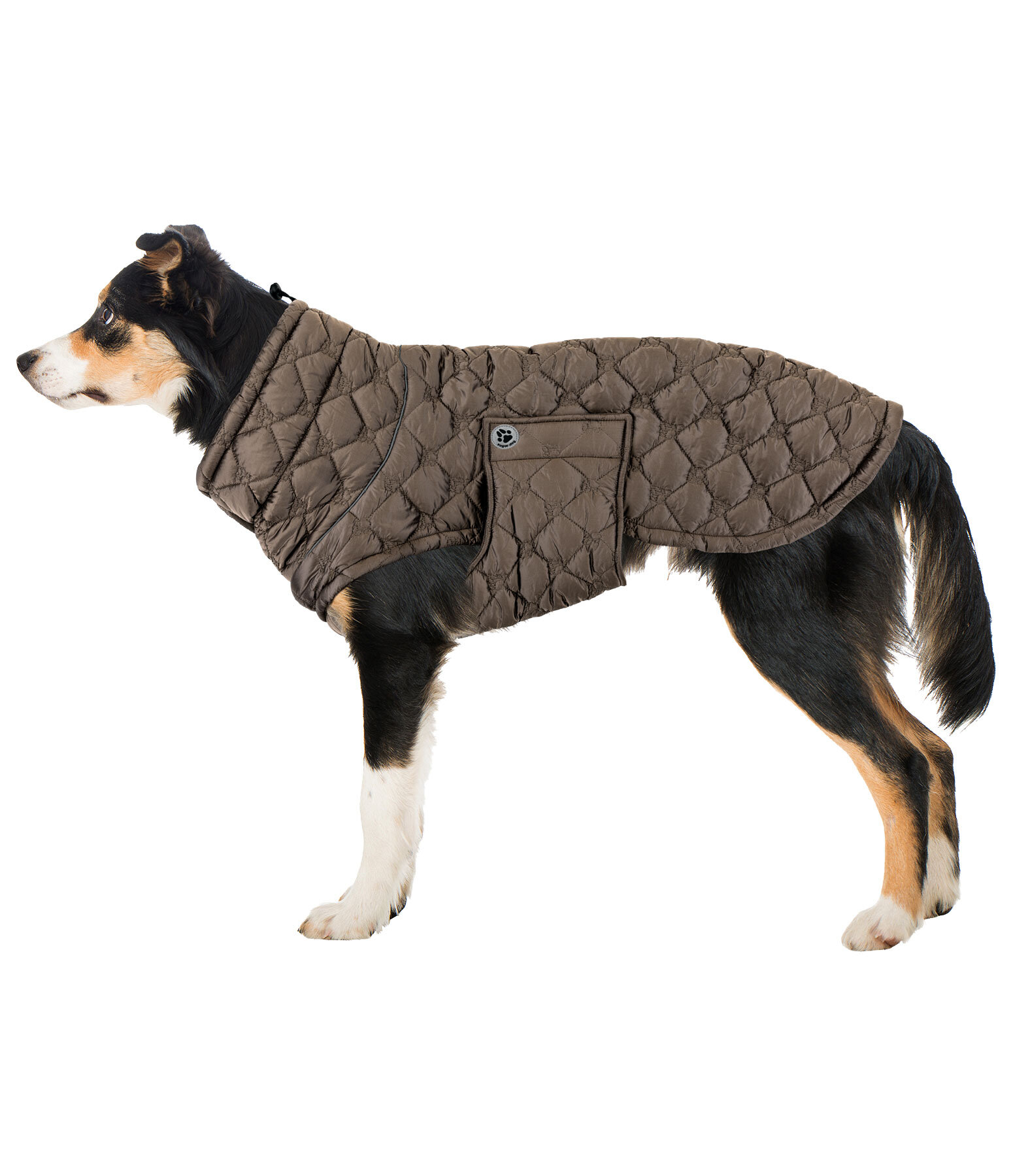 Cappotto trapuntato per cani Lightweight Cliff con pile, 200 g