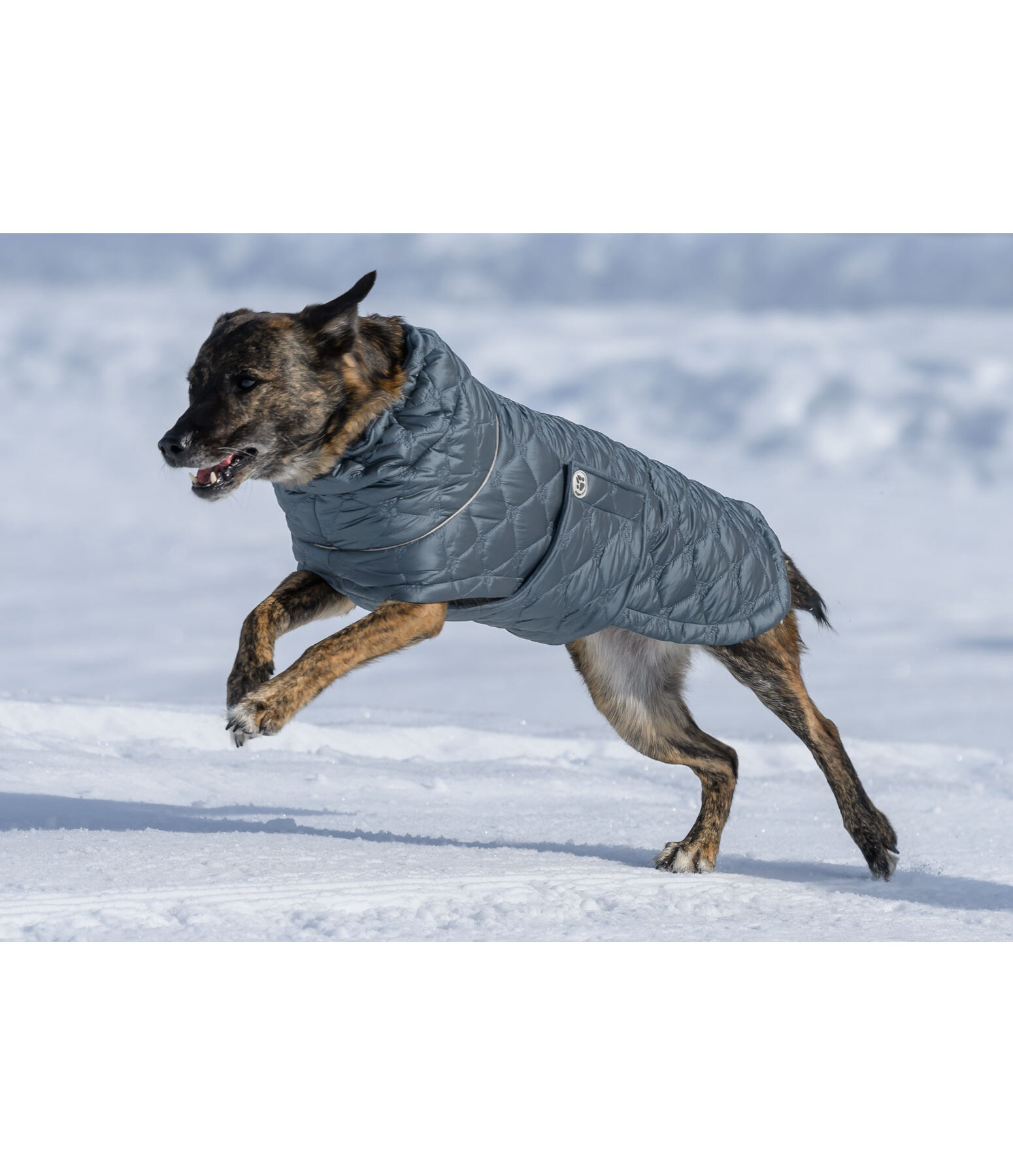 Cappotto trapuntato per cani Lightweight Cliff con pile, 200 g