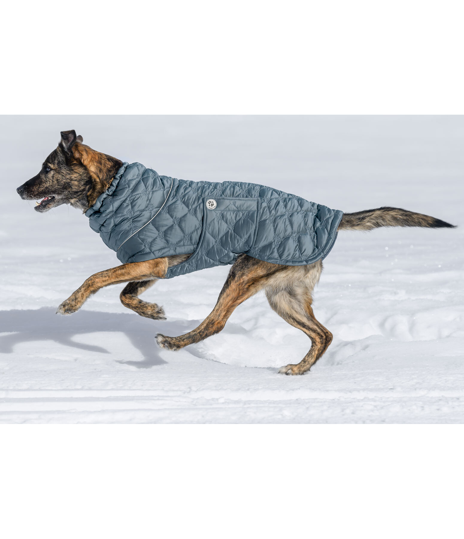 Cappotto trapuntato per cani Lightweight Cliff con pile, 200 g