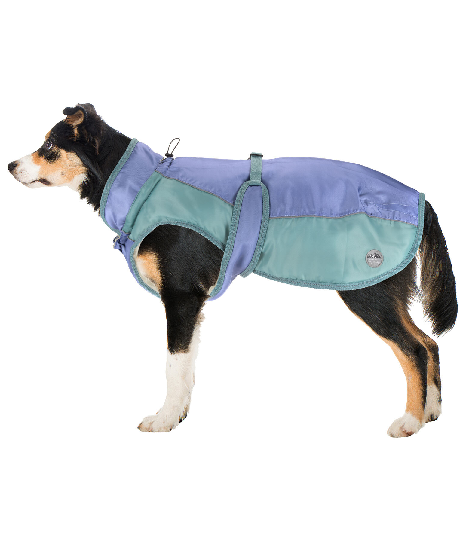 Cappotto invernale per cani Glacier Bay con interno in pile, 100 g