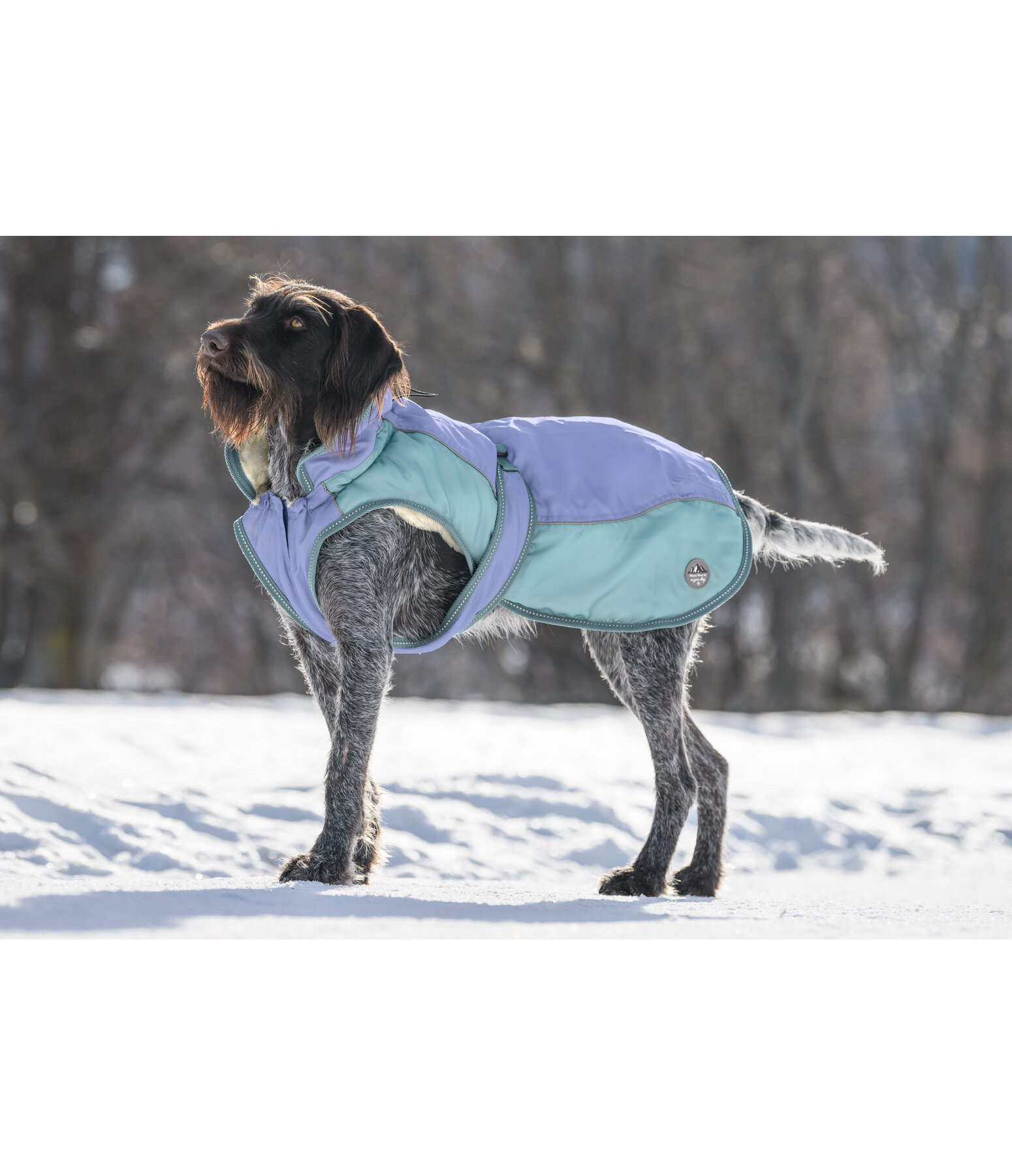 Cappotto invernale per cani Glacier Bay con interno in pile, 100 g