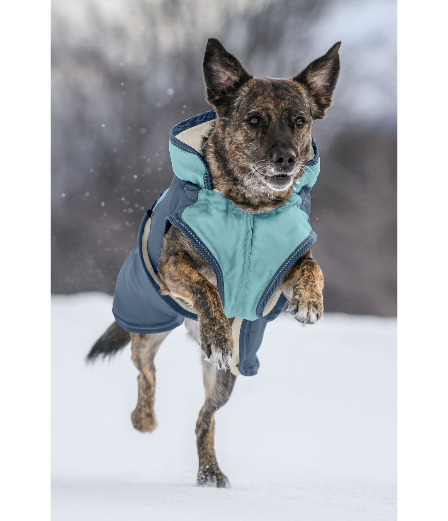 Cappotto invernale per cani Glacier Bay con interno in pile, 100 g