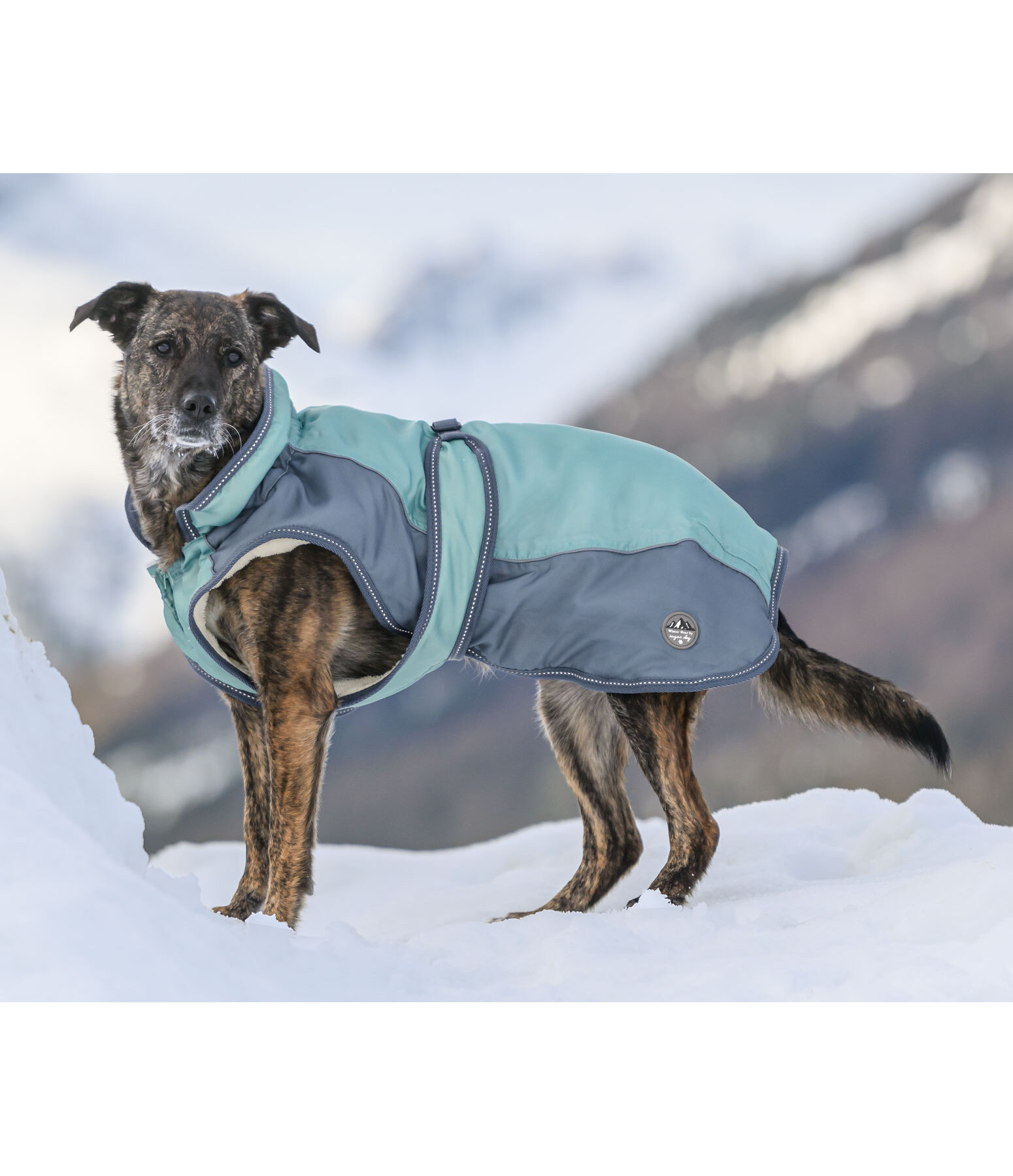 Cappotto invernale per cani Glacier Bay con interno in pile, 100 g