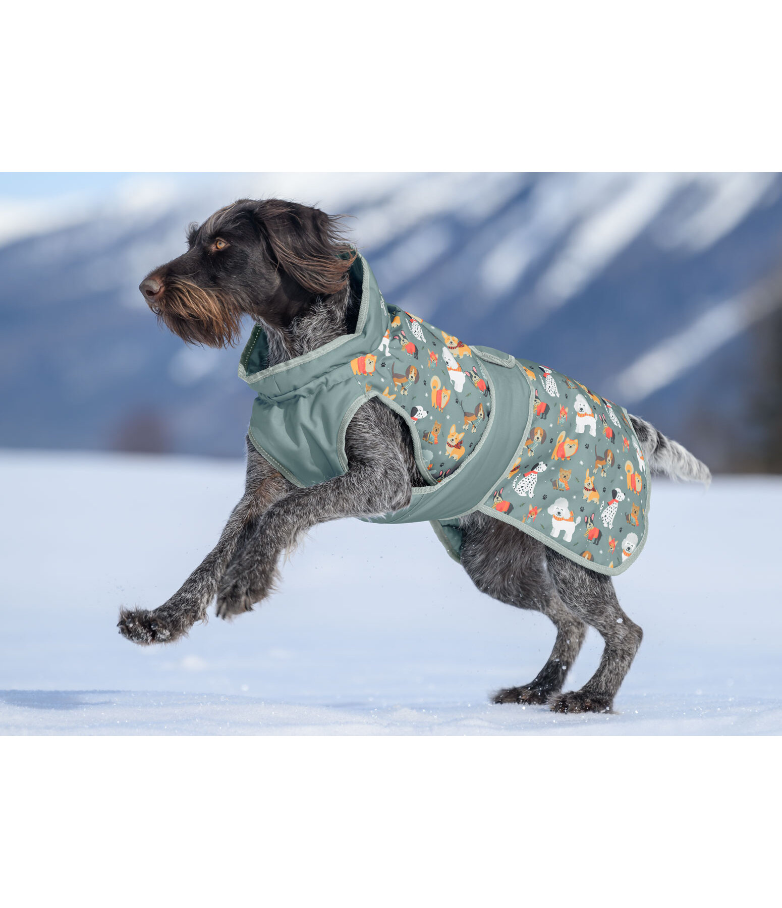 Cappotto invernale per cani Candy Cane, 120 g