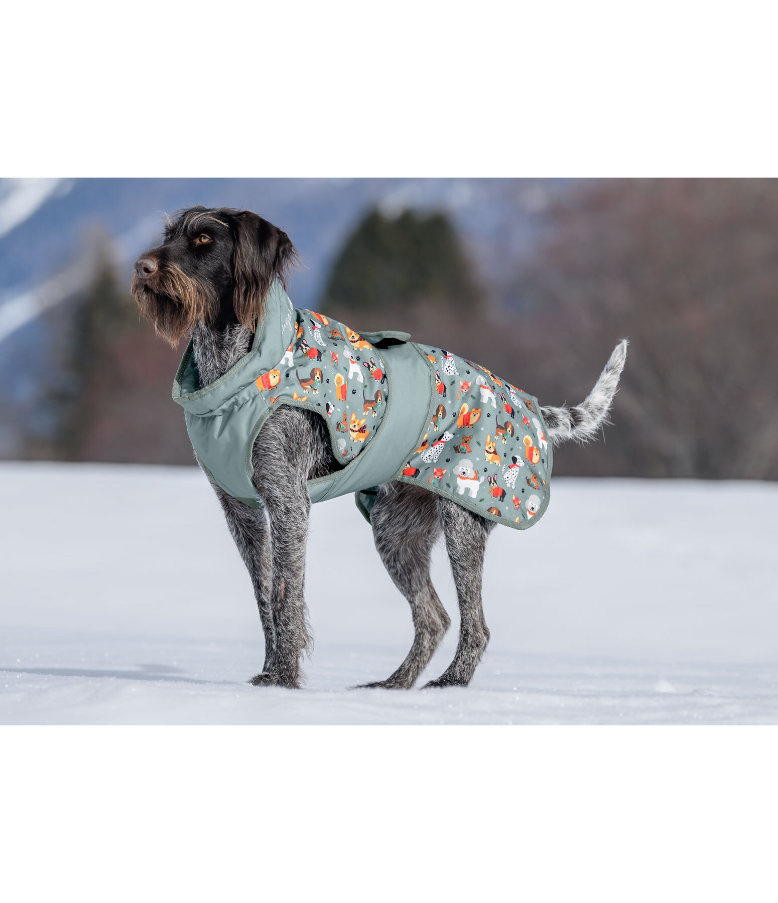 Cappotto invernale per cani Candy Cane, 120 g