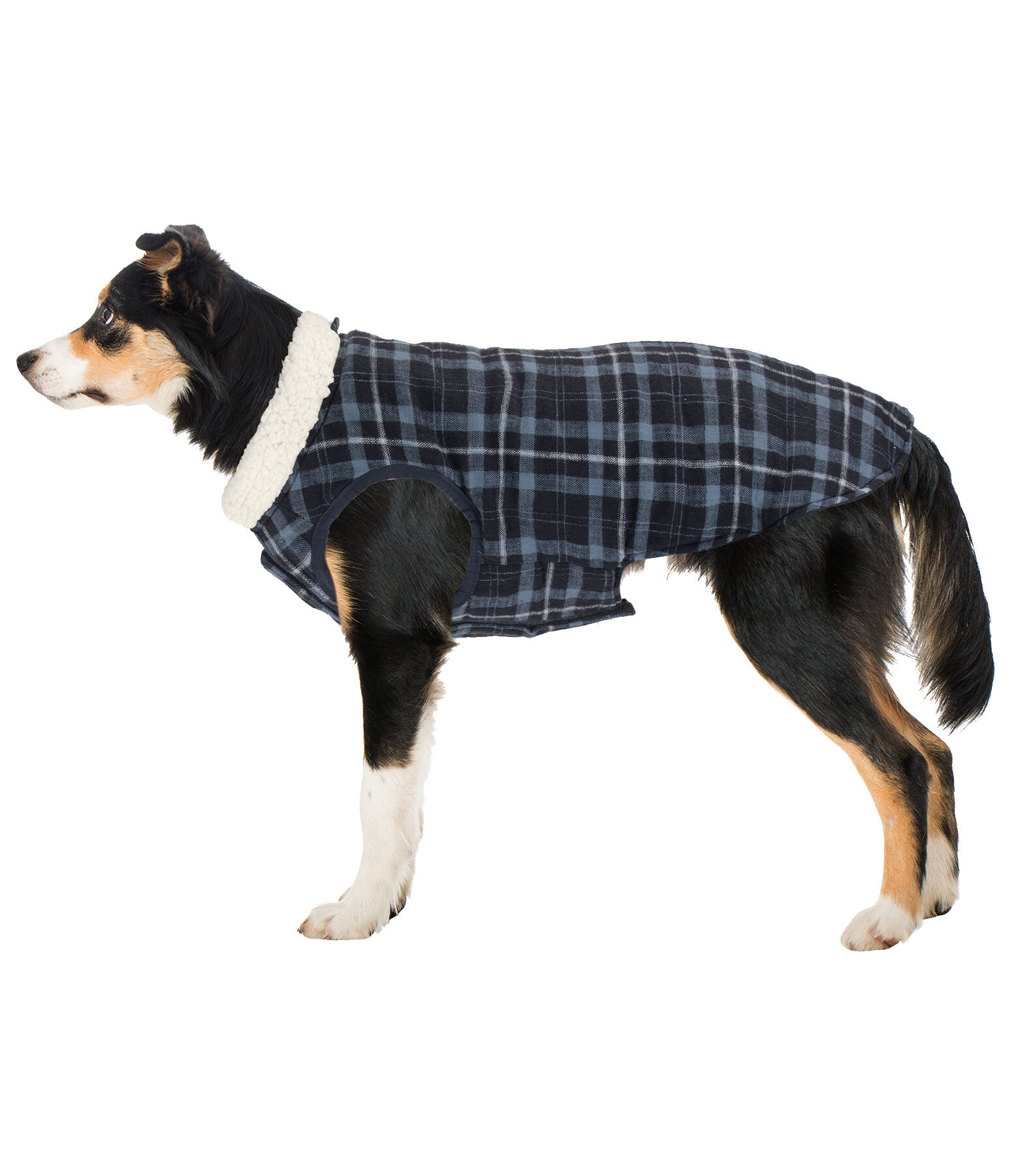 Cappotto reversibile in softshell per cani Yoko, 80 g