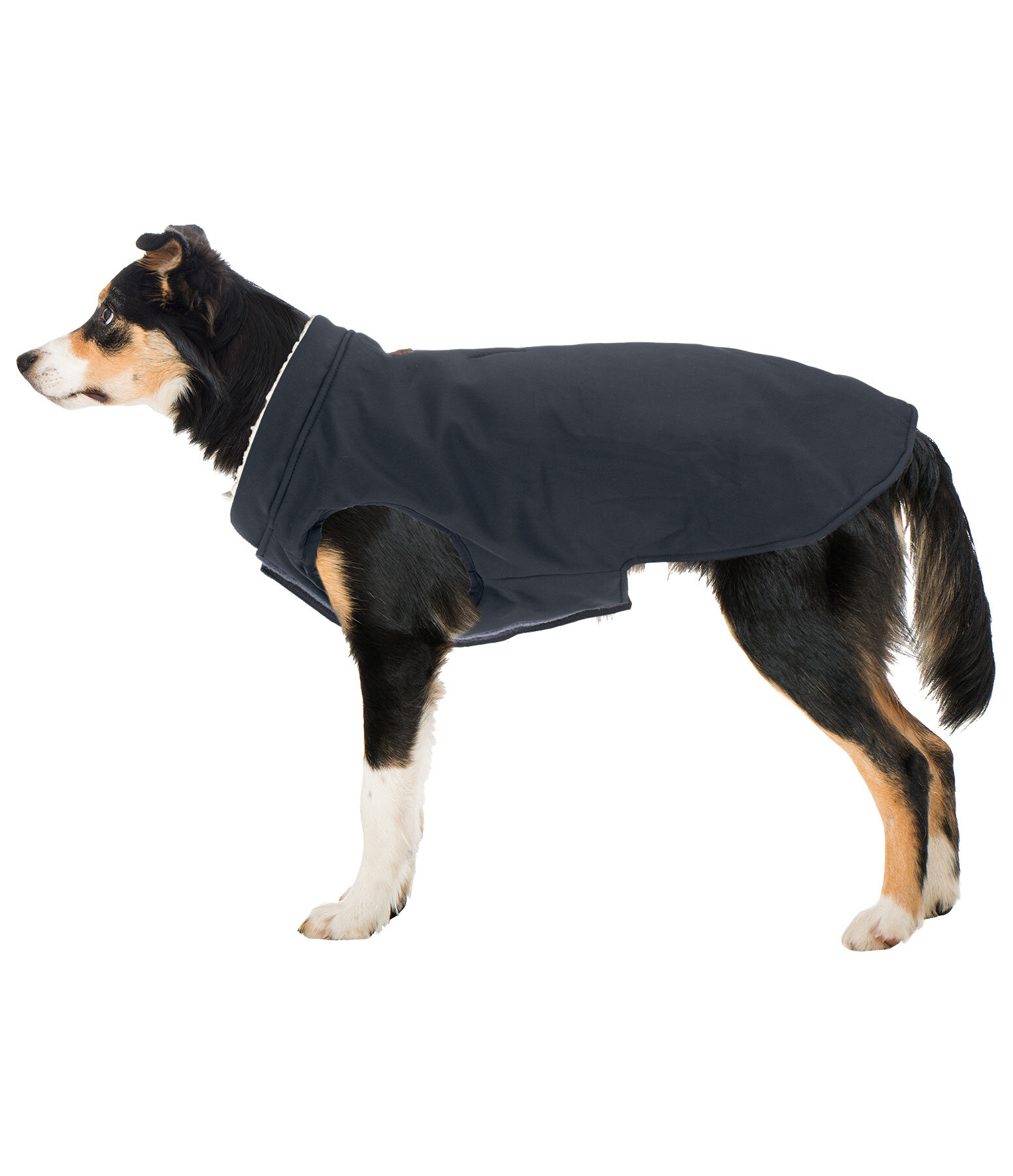 Cappotto reversibile in softshell per cani Yoko, 80 g