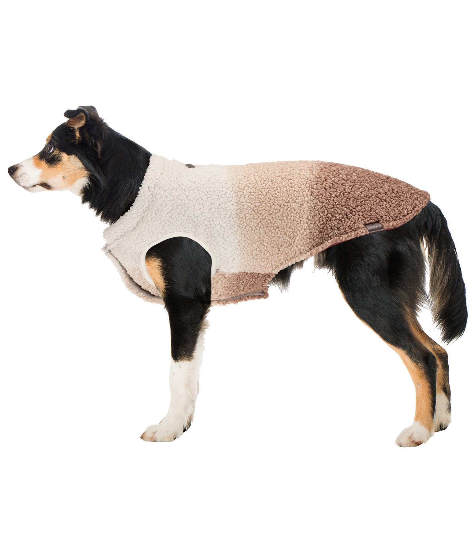 Cappotto reversibile in softshell per cani Willa, 80 g