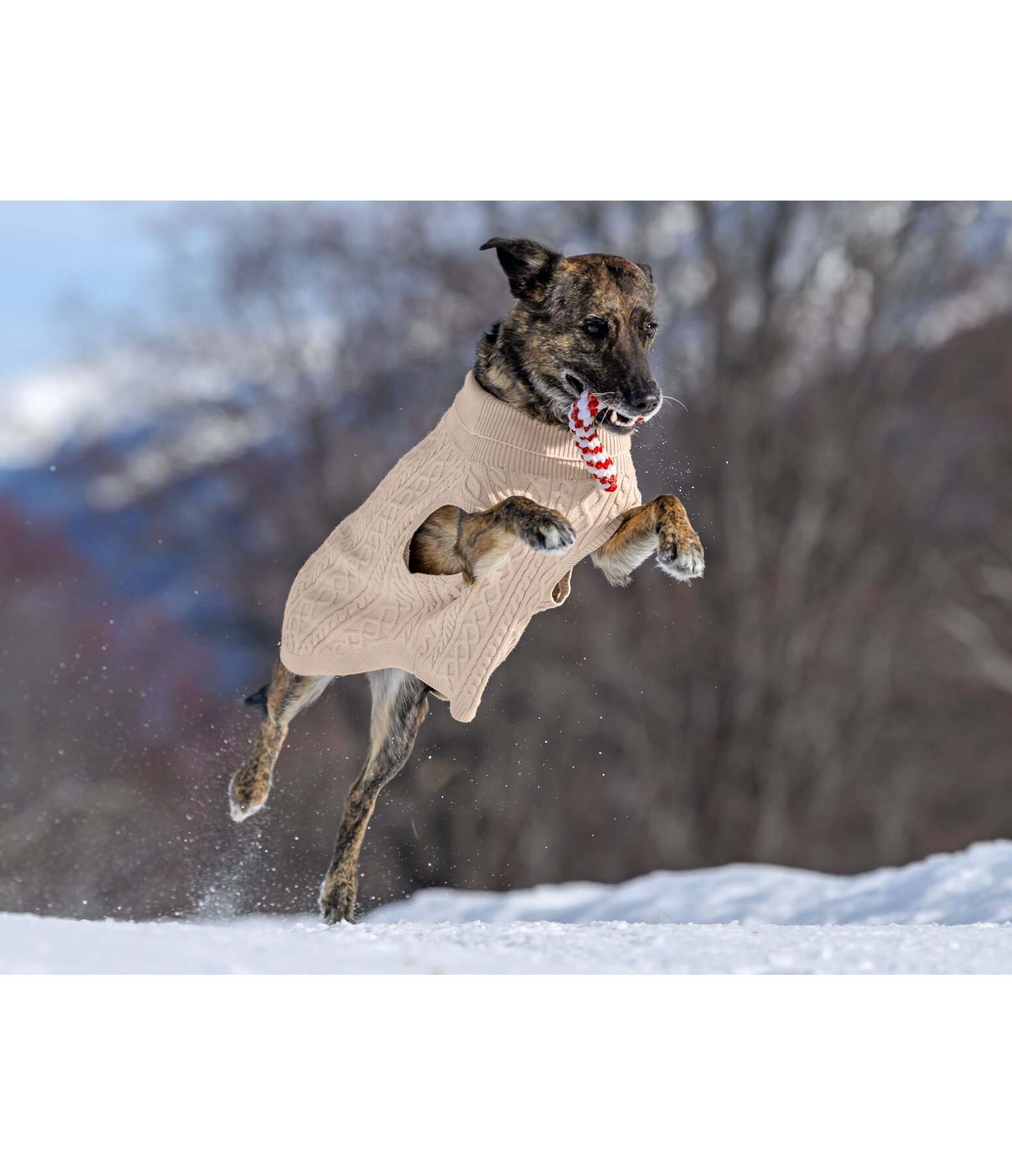 Maglione per cani Maisie