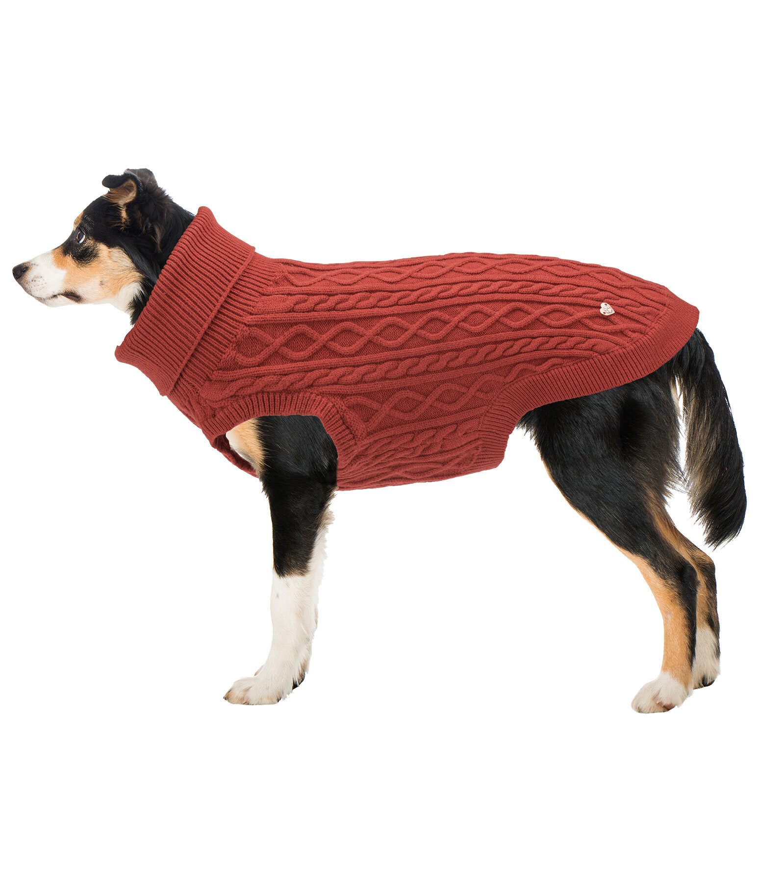 Maglione per cani Maisie