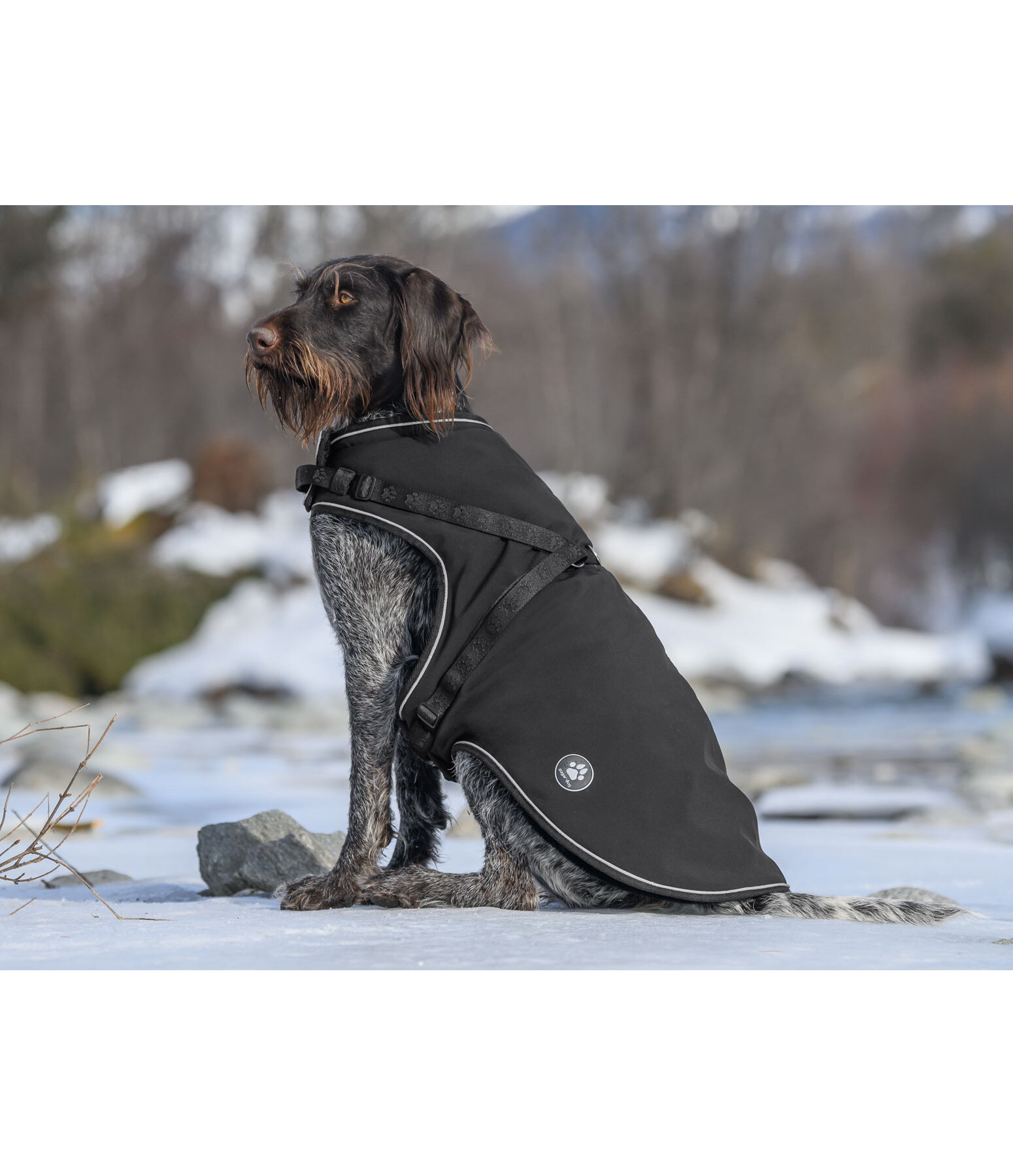 Cappotto in softshell per cani Cruz con pettorina integrata, 160 g