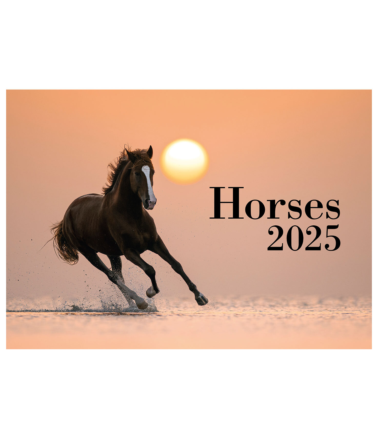 Calendario 2025 Horses