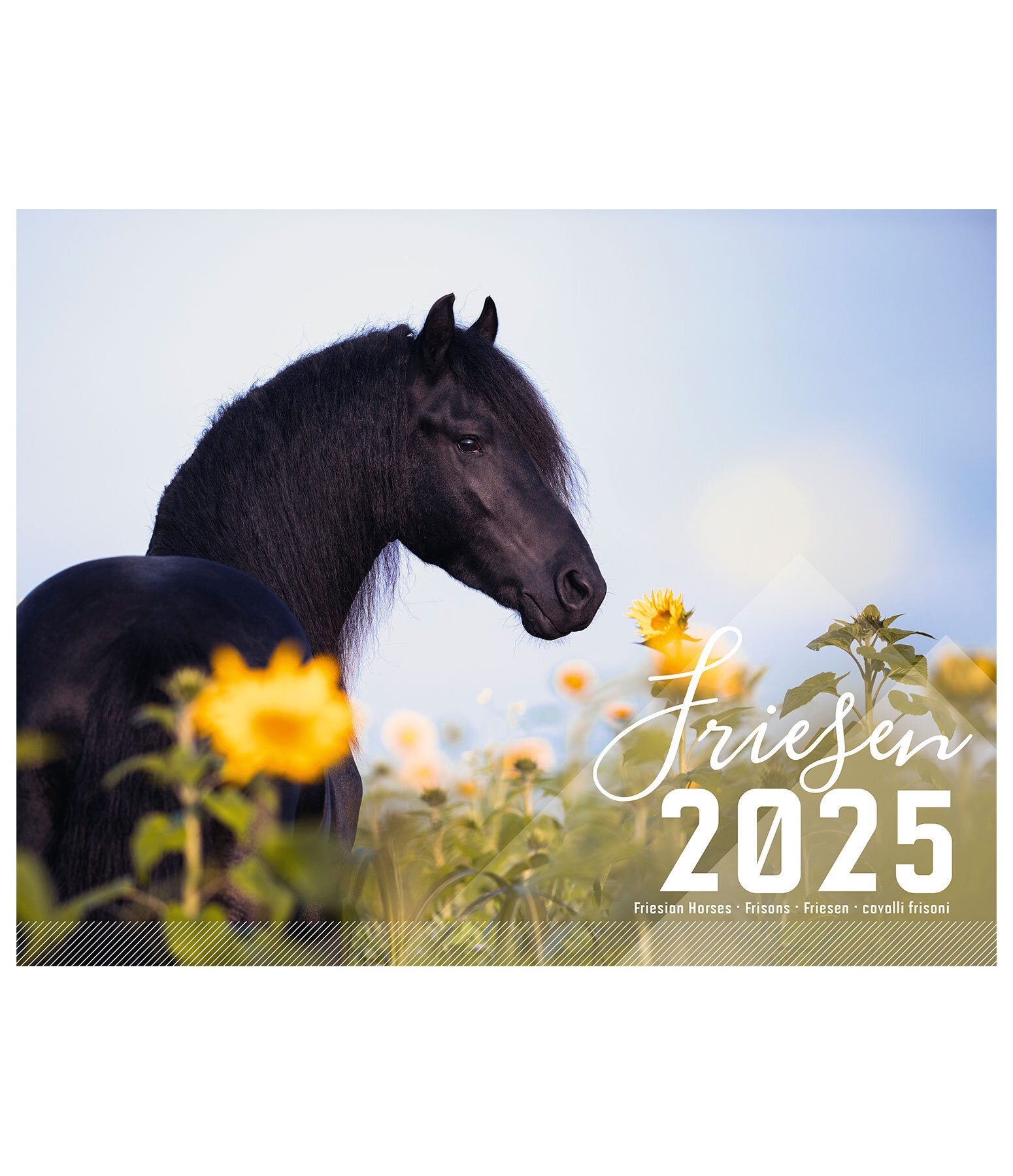 Calendario 2025 cavalli frisoni