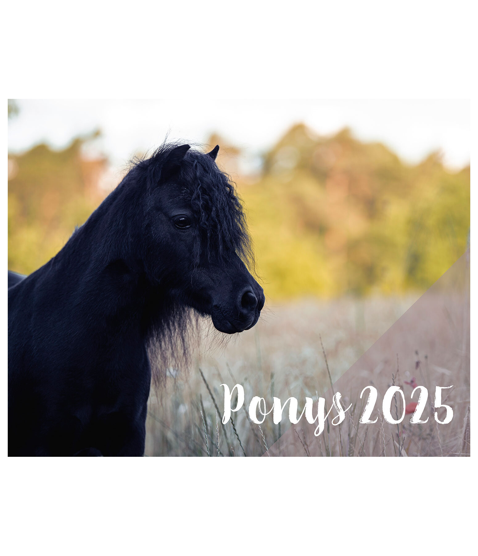 Calendario 2025  Pony