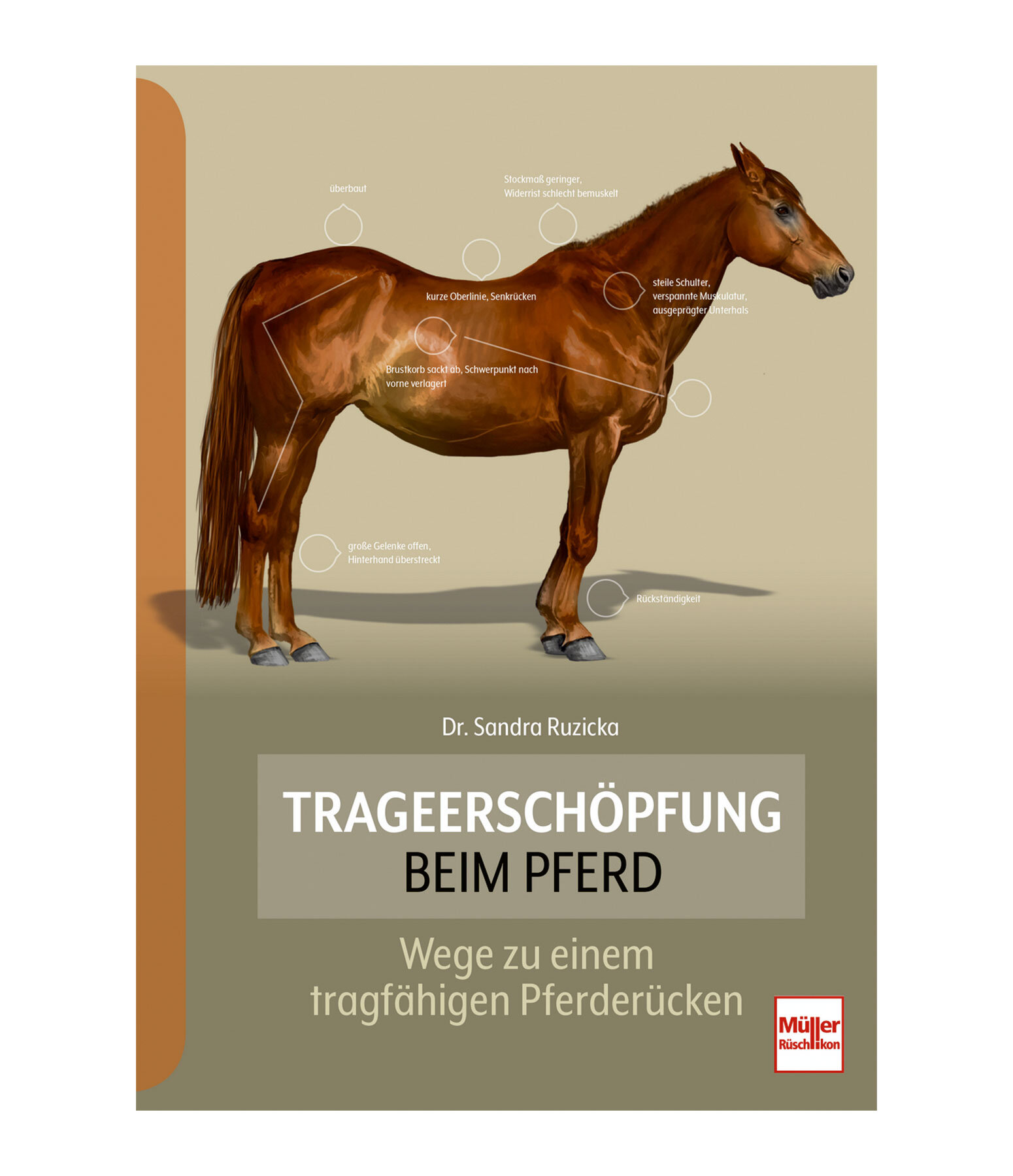 Trageerschpfung beim Pferd