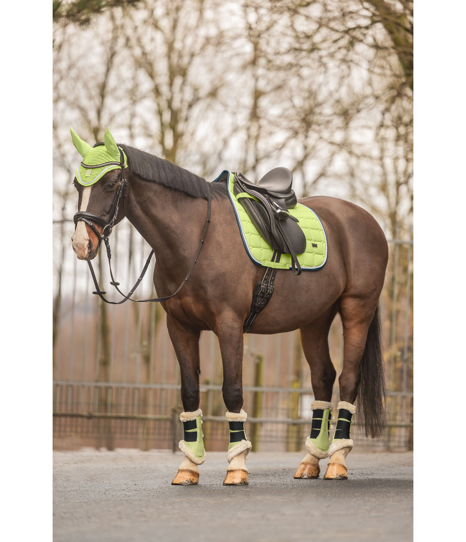 Stinchiere da dressage con pelliccia sintetica Essential, anteriori