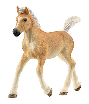 schleich Puledro Avelignese - 621914