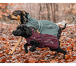 Cappotto per cani in nylon 2 in 1 Ally