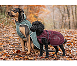 Cappotto per cani in nylon 2 in 1 Ally