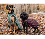 Cappotto per cani in nylon 2 in 1 Ally