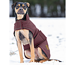 Cappotto invernale per cani Beaver Creek, 400 gr