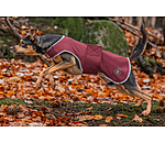 Softshell Walker per cani Athlete, 0 g