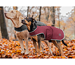 Softshell Walker per cani Athlete, 0 g