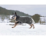 Softshell Walker per cani Athlete, 0 g