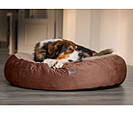 Cuccia per cani in memory foam Quincy