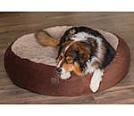 Cuccia per cani in memory foam Quincy