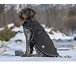 Cappotto in softshell per cani Cruz con pettorina integrata, 160 g