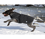 Cappotto in softshell per cani Cruz con pettorina integrata, 160 g