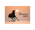 Calendario 2025 Horses