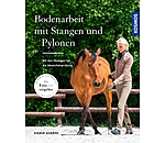 Bodenarbeit mit Stangen und Pylonen