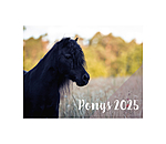 Calendario 2025  Pony