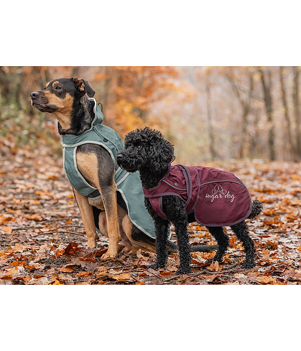 Cappotto per cani in nylon 2 in 1 Ally