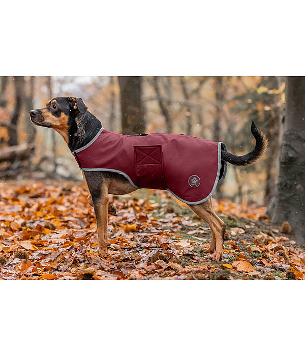 Softshell Walker per cani Athlete, 0 g