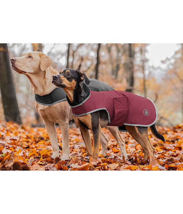 Softshell Walker per cani Athlete, 0 g