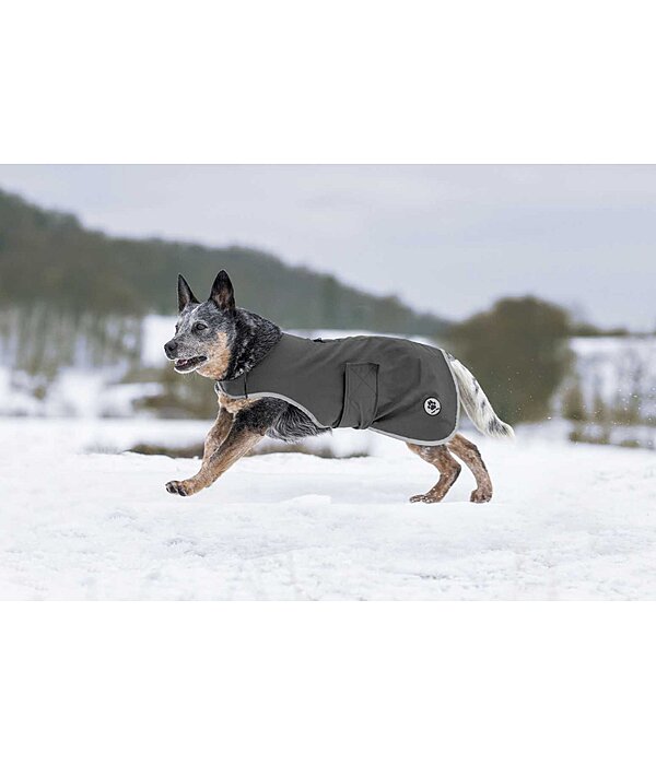 Softshell Walker per cani Athlete, 0 g